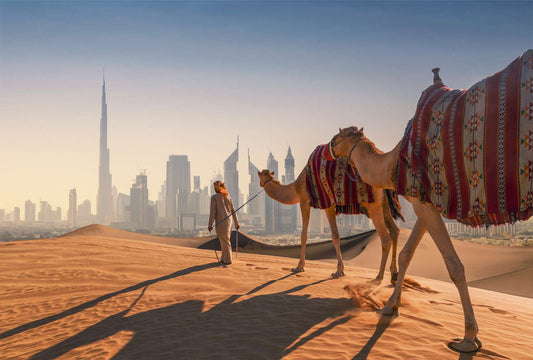 Experiencing Dubai: From Modern Marvels to Cultural Gems