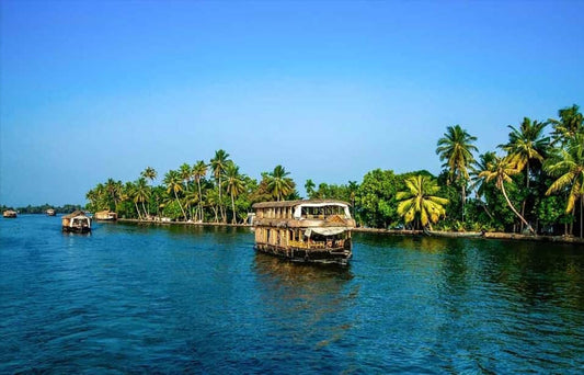 Enchanting Kerala: Vagamon, Munnar, and Alleppey Honeymoon Package