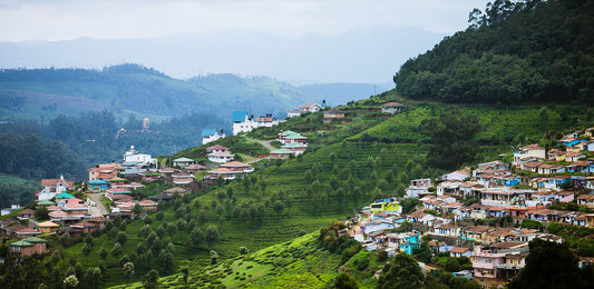 Ooty Mudumalai Coonoor HoneymoonTour Package