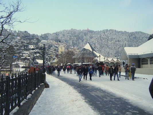 Manali Shimla Sightseeing Tour Package